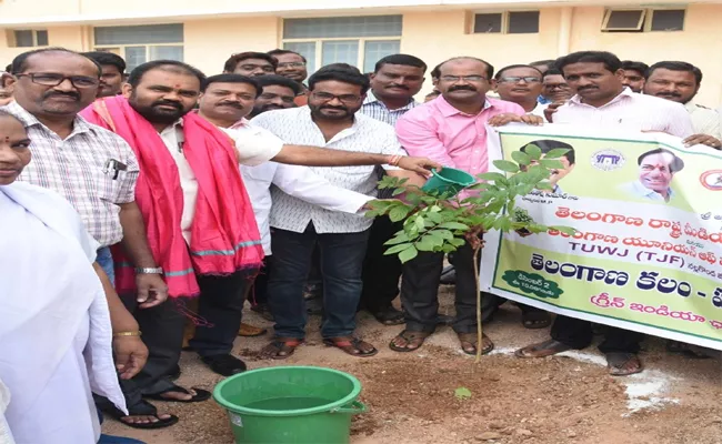 MLA Planted in Nalgonda Government Hospital - Sakshi