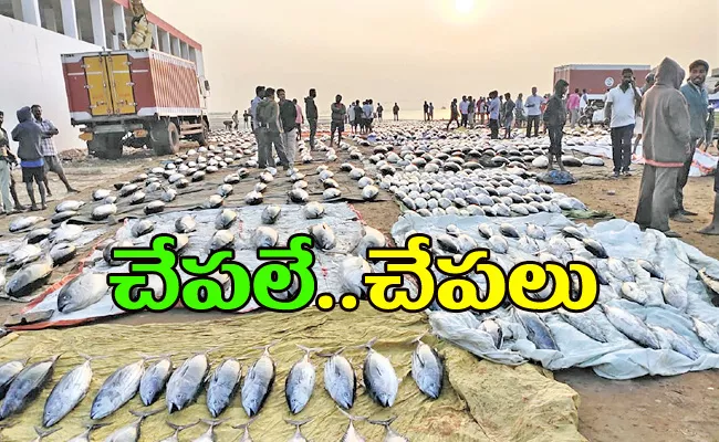 Fish Exhibition in Pithapuram - Sakshi