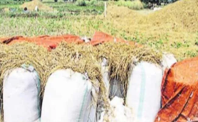 Millers Fraud In Grain Purchases - Sakshi