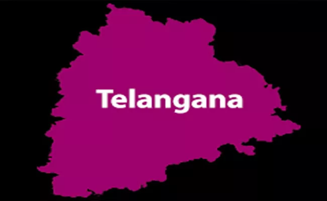 Telangana Got Third Place For Sustainable Development - Sakshi