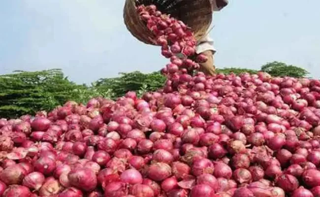 CM YS Jagan orders to officials on Onion Prices - Sakshi