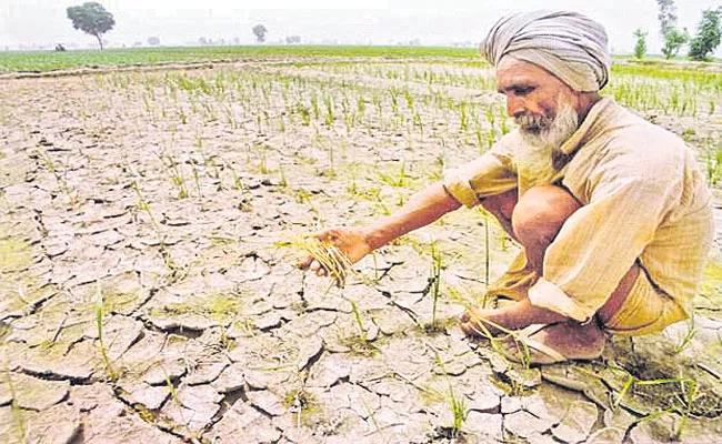 Devinder Sharma Writes Article About Farmers Getting Less Revenue In Small Scale Agriculture - Sakshi