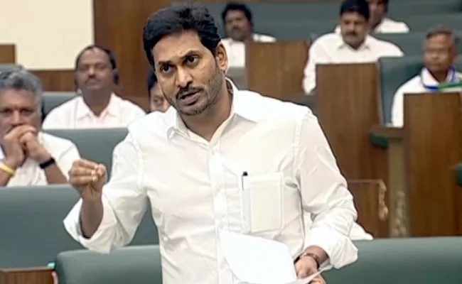 CM YS Jagan Slams Chandrababu Over Onion Prices In Heritage Shop - Sakshi