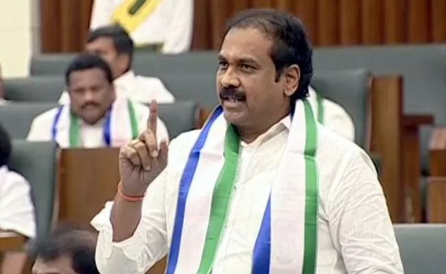 Minister Kurasala Kanna Babu Fires On Chandrababu - Sakshi