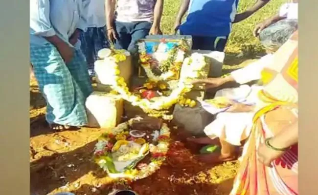 Karnataka Villagers Perform Last Rites of Beloved Pet Monkey - Sakshi