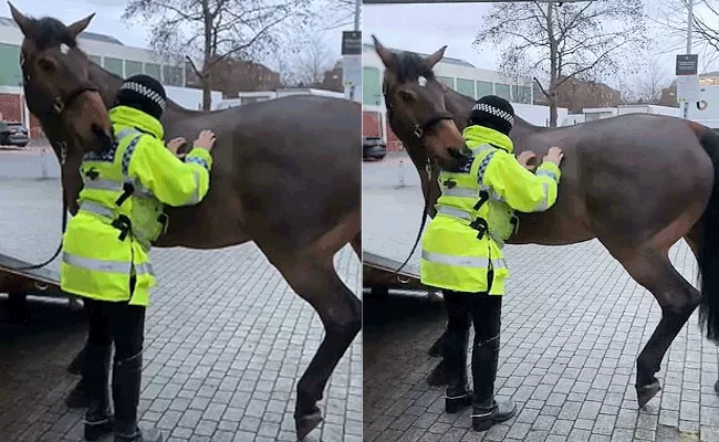 Police Scratches Horse And Horse Scratches Him Returns The Favour In London - Sakshi