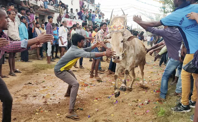 Young Man Died in Jallikattu Competition Chittoor - Sakshi