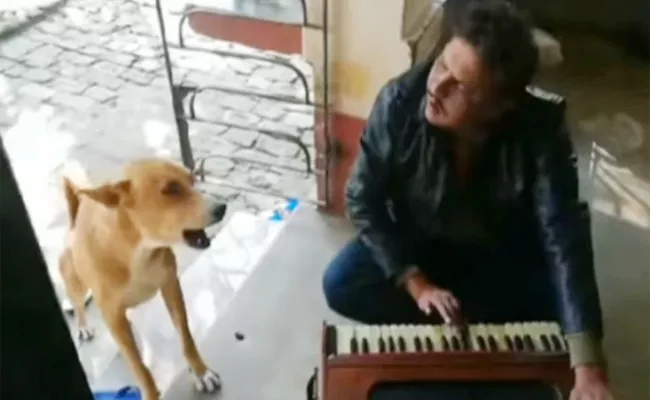 Viral Video: Dog Sings Teri Meri Kahaani Song Along With Man - Sakshi