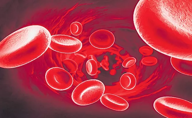 Red Blood Cells Have Super Powers Says McMaster University Scientists - Sakshi