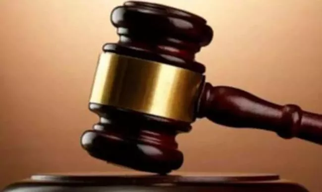 Delhi court convicts 2 men for  five year old girl molestation - Sakshi