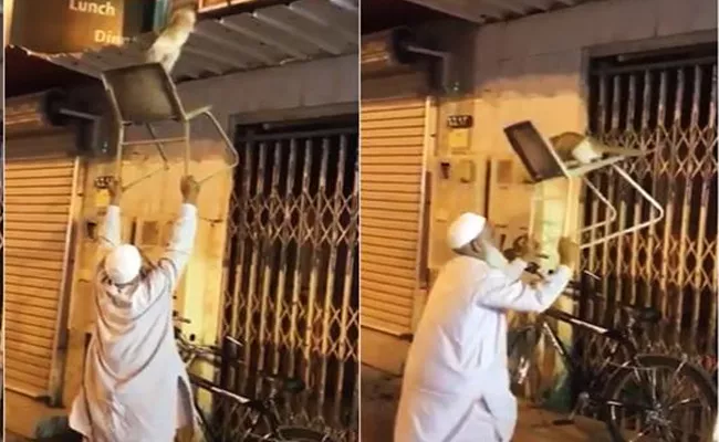 Viral Video: Man Rescue Cat With Chair - Sakshi