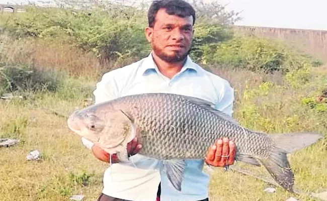 15 Kgs Big Fish Found in Medak - Sakshi