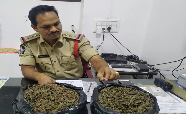 Marijuana Smuggling in Kurnool - Sakshi