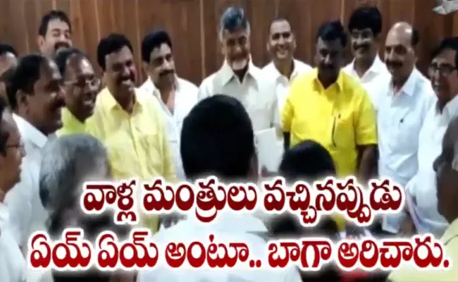 TDP MLCs Discuss With Chandrababu About Their Rowdyism In Council - Sakshi