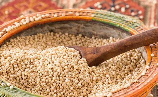 Special Dishes For Sorghum - Sakshi