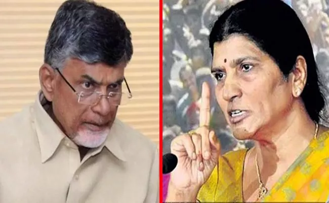 ACB court adjourns Chandrababu Naidu assets case to February 7 - Sakshi