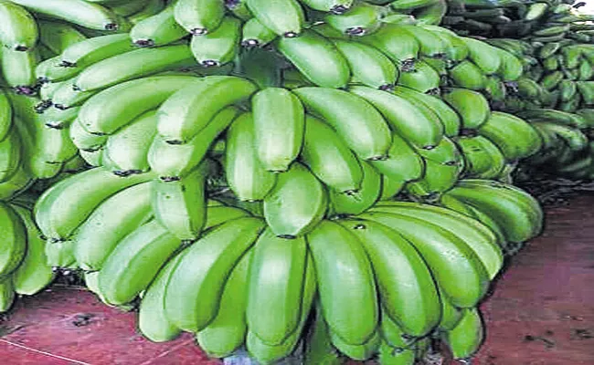 Ananthapur Banana To Arab Countries - Sakshi