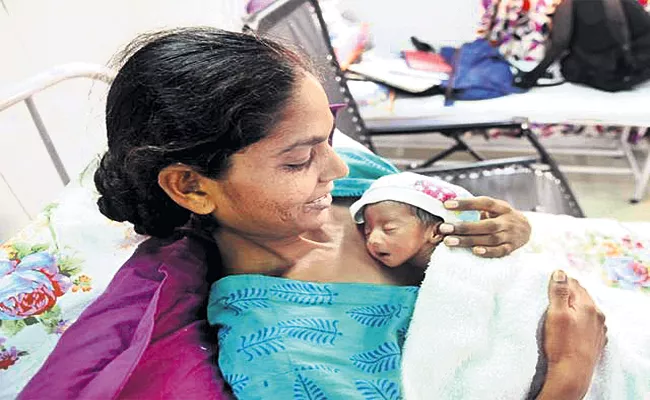 Kangaroo Mother Care Services in Niloufer Hospital - Sakshi