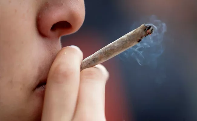 Man Arrested For Lighting Ganja cigarette In Court While Facing Charges For ganja In USA - Sakshi