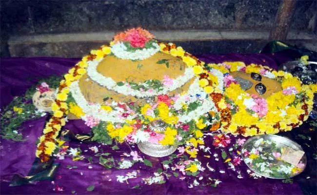 Sri Kurmanatha Temple: Ashta Tirtha Mahayogam - Sakshi