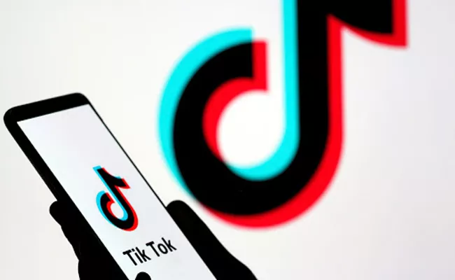 Prisoners Posting Tiktok Videos From Jail in Karnataka - Sakshi