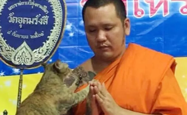 Cat Tests Buddhist Monk Patience Thailand Video Goes Viral - Sakshi