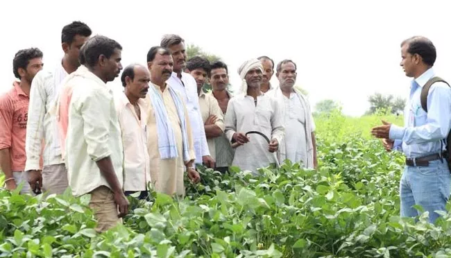 Training of mango farmers at Vijayawada on 22 - Sakshi