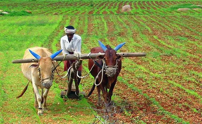 Subhash Chandra Bose and Kannababu And Bhuggana asked bankers for loans to Farmers and Weaving communities - Sakshi