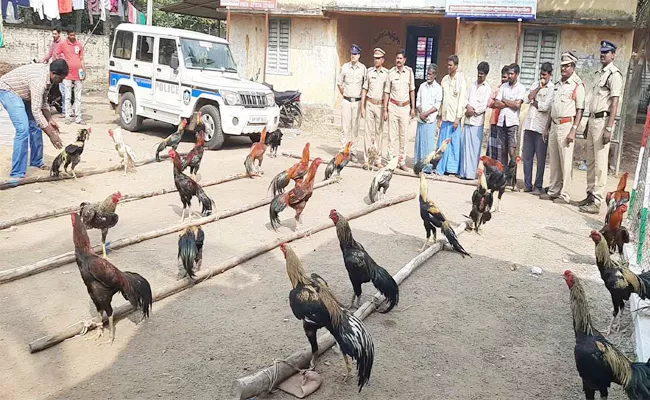 45 Fighting Hens And Four Accused Arrest in East Godavari - Sakshi