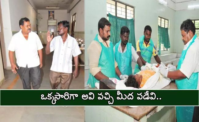 RIMS Mortuary Room Employees Special Story YSR Kadapa - Sakshi