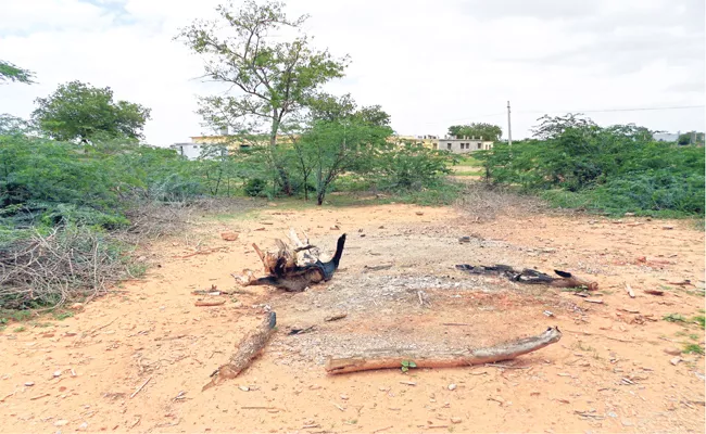 Crematorium Shortage in Prakasam District Villages - Sakshi