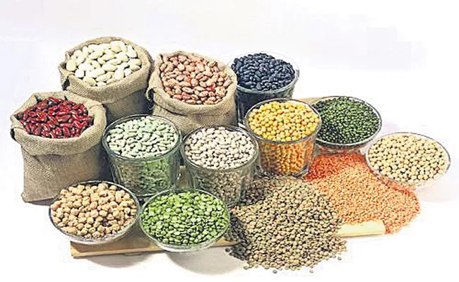 Purchases of pulses from 01-02-2020 - Sakshi