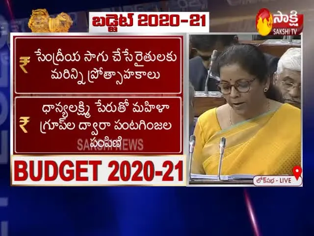 Union Budget 2020:Nirmala Sitharaman On Solar Pumps