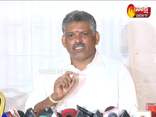 Chevireddy Bhaskar Reddy Fires On AB Venkateswara Rao - Sakshi