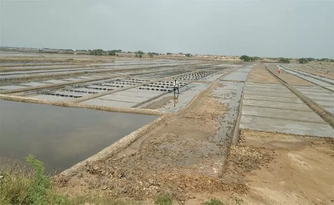 Salt Farmers Preparing Salt Fields In Nellore District - Sakshi