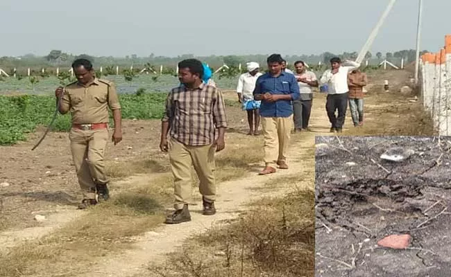 Leopard Wandering In Nalgonda  - Sakshi