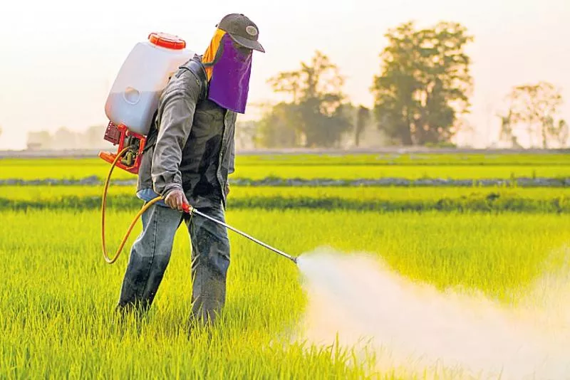 Union Cabinet clears Bill to regulate pesticide business - Sakshi