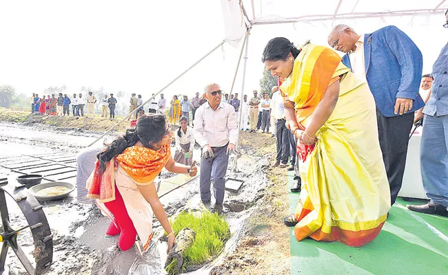 Governor Tamilisai Visits State Agricultural University - Sakshi