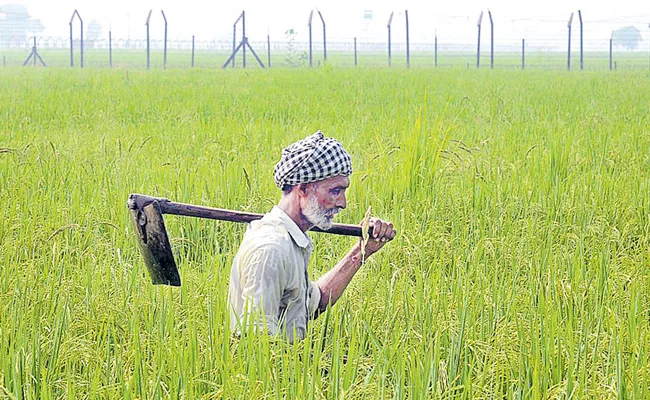 Central Government Neglect Agriculture Sector - Sakshi