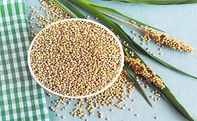 Sorghum Rotis Good For Health - Sakshi