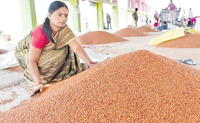 Red Gram Farmers Face Problem With Price - Sakshi