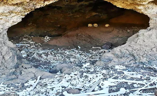 Ancient Tomb With Skeletons Of 72 Members Found By Drone In Canary Islands - Sakshi