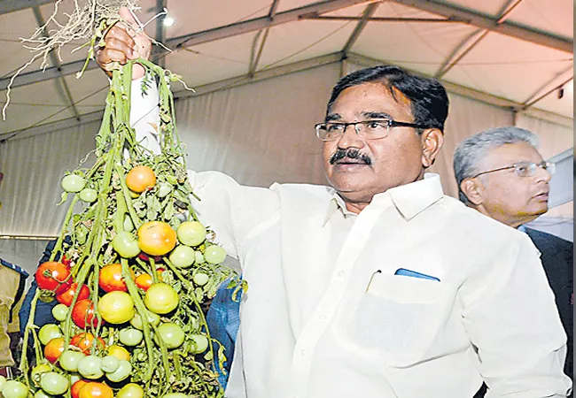 Niranjan Reddy Speaks Over Oil Farming In Telangana - Sakshi