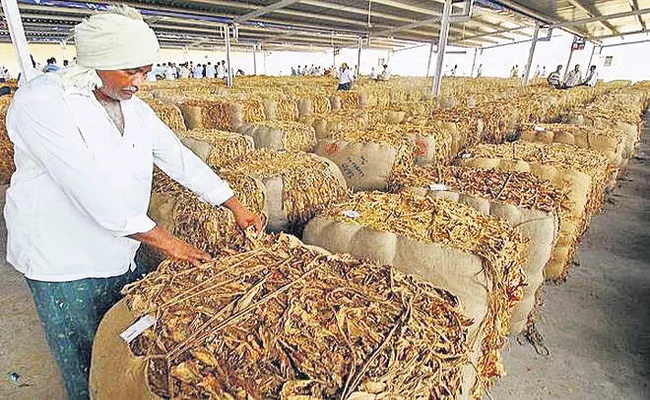 Coronavirus Effect To Tobacco farmers - Sakshi