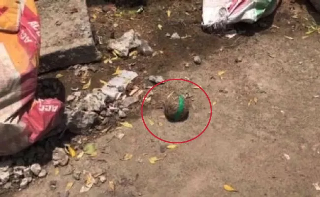 Boy Mistaken Crude Bombs As Balls One Dead Two Injured In West Bengal - Sakshi