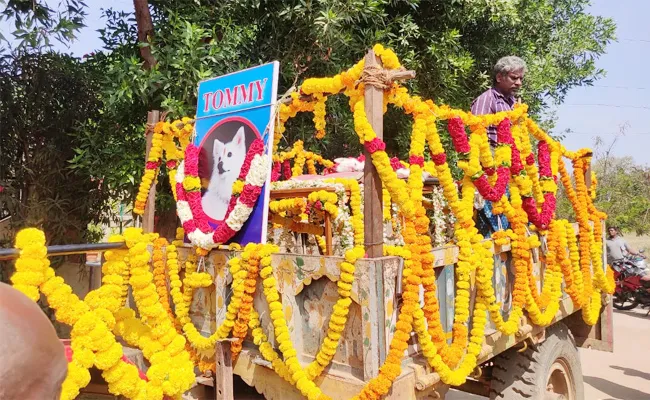 Owner Dead-march to Pet Dog Tommy in Kurnool - Sakshi