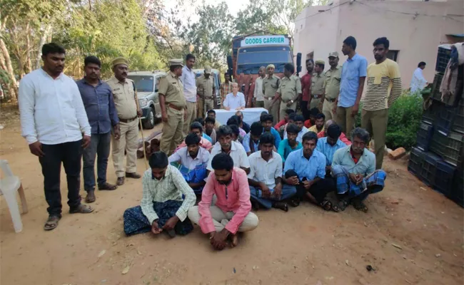 Sandlewood Smuggling Workers Arrest in YSR Kadapa - Sakshi