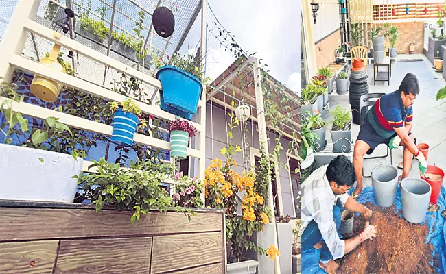 Trees And Flower Plants in Pandu Goud House - Sakshi