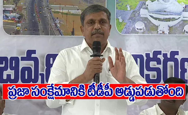 Sajjala Ramakrishna Reddy Slams Chandrababu Over Capital Construction - Sakshi