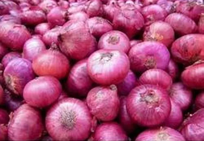 ban lifted to onion exports - Sakshi